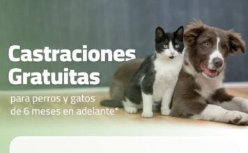Castraciones gratuitas municipales: la próxima semana será en barrio Bosch