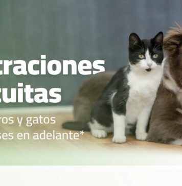 Castraciones gratuitas municipales: la próxima semana será en barrio Bosch