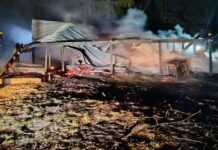 Incendio de vivienda en la Isla Talavera: pérdidas totales