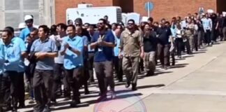 Basta de persecución y vaciamiento: Nucleoeléctrica no es un botín de guerra