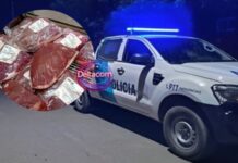 Delincuentes robaron 300 kilos de carne de exportación
