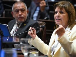 El Senado convirtió en ley el Régimen Penal Juvenil y la edad de imputabilidad baja a 14 años