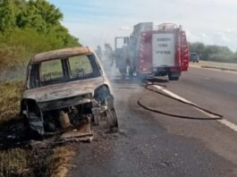 Un vecino de Campana sufrió el incendio de su vehículo en la ruta 12