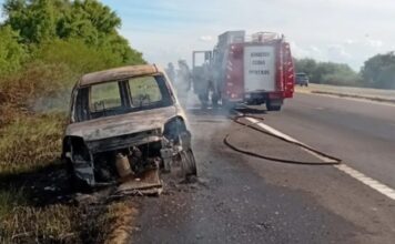 Un vecino de Campana sufrió el incendio de su vehículo en la ruta 12