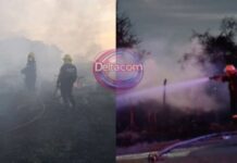 Intensa jornada: bomberos de Zárate realizaron 18 intervenciones en un solo día