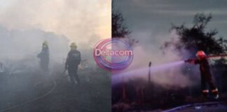 Intensa jornada: bomberos de Zárate realizaron 18 intervenciones en un solo día