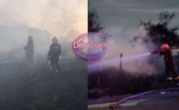 Intensa jornada: bomberos de Zárate realizaron 18 intervenciones en un solo día