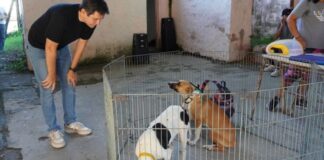 Matzkin anunció que el Municipio ya superó las 10 mil castraciones itinerantes