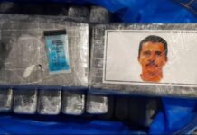 La historia de los ladrillos de cocaína con la cara de “El Mencho” que partieron del puerto de Zárate