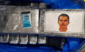 La historia de los ladrillos de cocaína con la cara de “El Mencho” que partieron del puerto de Zárate