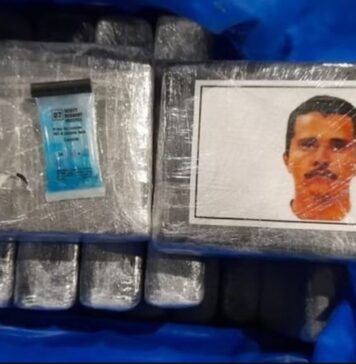 La historia de los ladrillos de cocaína con la cara de “El Mencho” que partieron del puerto de Zárate