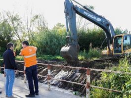 El Municipio y Trenes Argentinos realizan un operativo integral de limpieza y zanjeo