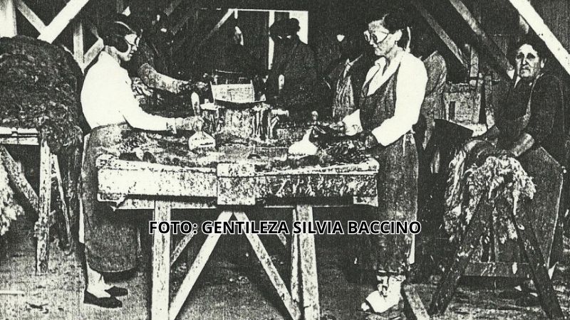 Departamento de Curtiembre, aplicación del depilatorio. Diciembre de 1933.