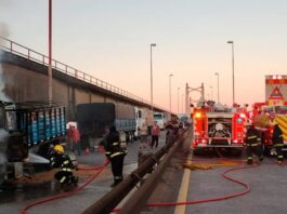 Se incendió un camión en el Complejo Zárate-Brazo Largo
