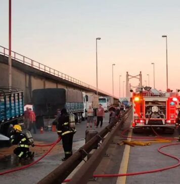 Se incendió un camión en el Complejo Zárate-Brazo Largo
