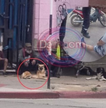 Perros de un hombre en situación de calle atacaron a una mujer