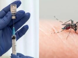 Ya se encuentra disponible la vacuna contra el dengue en Zárate