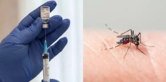 Ya se encuentra disponible la vacuna contra el dengue en Zárate
