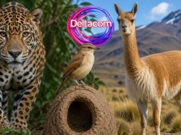 Día del Animal: tres especies que representan la riqueza natural argentina
