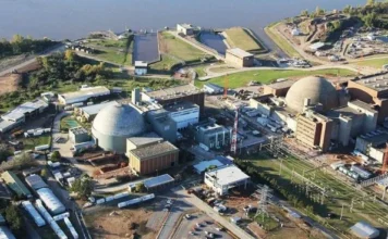 Nucleoeléctrica: “congelan” la investigación sobre las irregularidades durante la gestión de Demian Reidel