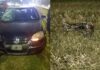 Identificaron al nene que falleció atropellado en Panamericana cuando circulaba en bicicleta