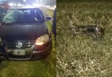 Identificaron al nene que falleció atropellado en Panamericana cuando circulaba en bicicleta