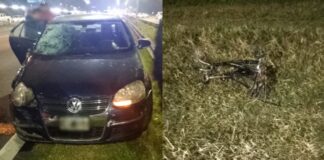 Identificaron al nene que falleció atropellado en Panamericana cuando circulaba en bicicleta
