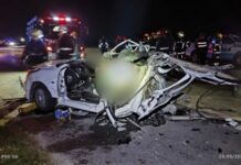 Tragedia en Ruta 6: tres adultos, un bebé y una nena de una misma familia murieron en un accidente