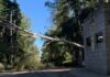 La caída de un árbol provocó el corte del servicio eléctrico en zona rural