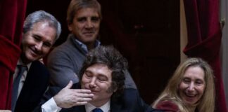 Baja la imagen de Milei y crece el rechazo al Gobierno