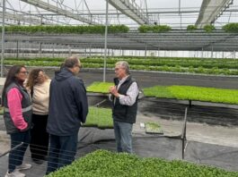 Visita a la empresa Vequa Hidroponía en Lima