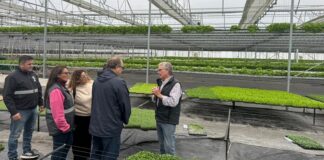 Visita a la empresa Vequa Hidroponía en Lima