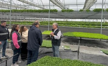 Visita a la empresa Vequa Hidroponía en Lima