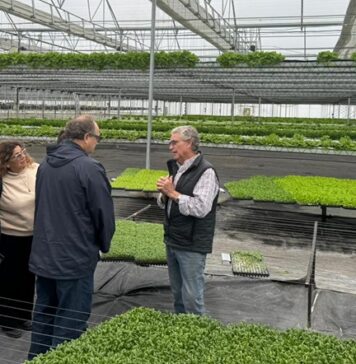 Visita a la empresa Vequa Hidroponía en Lima