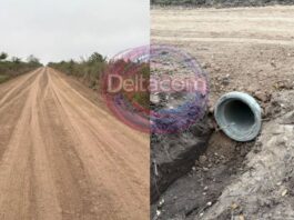 La Sociedad Rural destacó obras realizadas en caminos rurales y anticipó nuevas intervenciones