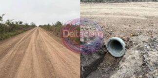La Sociedad Rural destacó obras realizadas en caminos rurales y anticipó nuevas intervenciones